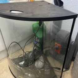 10 Gallon Corner Tank With Extra Amenities 