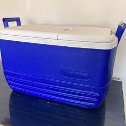 Cooler