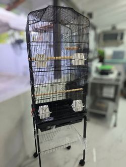 New bird cage
