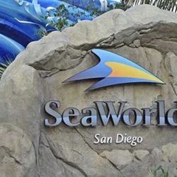 Seaworld Tickets Available $30 Each Pay After Entry