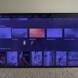 VIZIO 60" Class 4K *Blue Tint Issue* UHD Smart TV HDR E-Series E60-E3