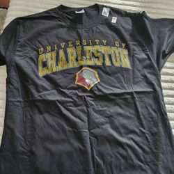 Size Large Mans Shirt Brand New