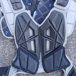 Chest Protector, Kids Or Intermediate 