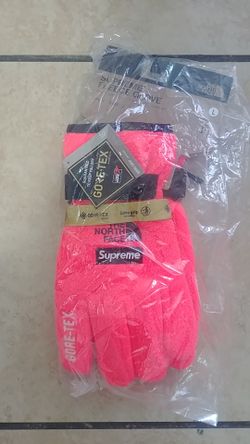 Supreme x tnf gortex fleece gloves