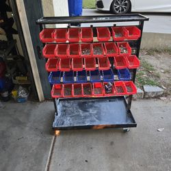 Bin Organizer 