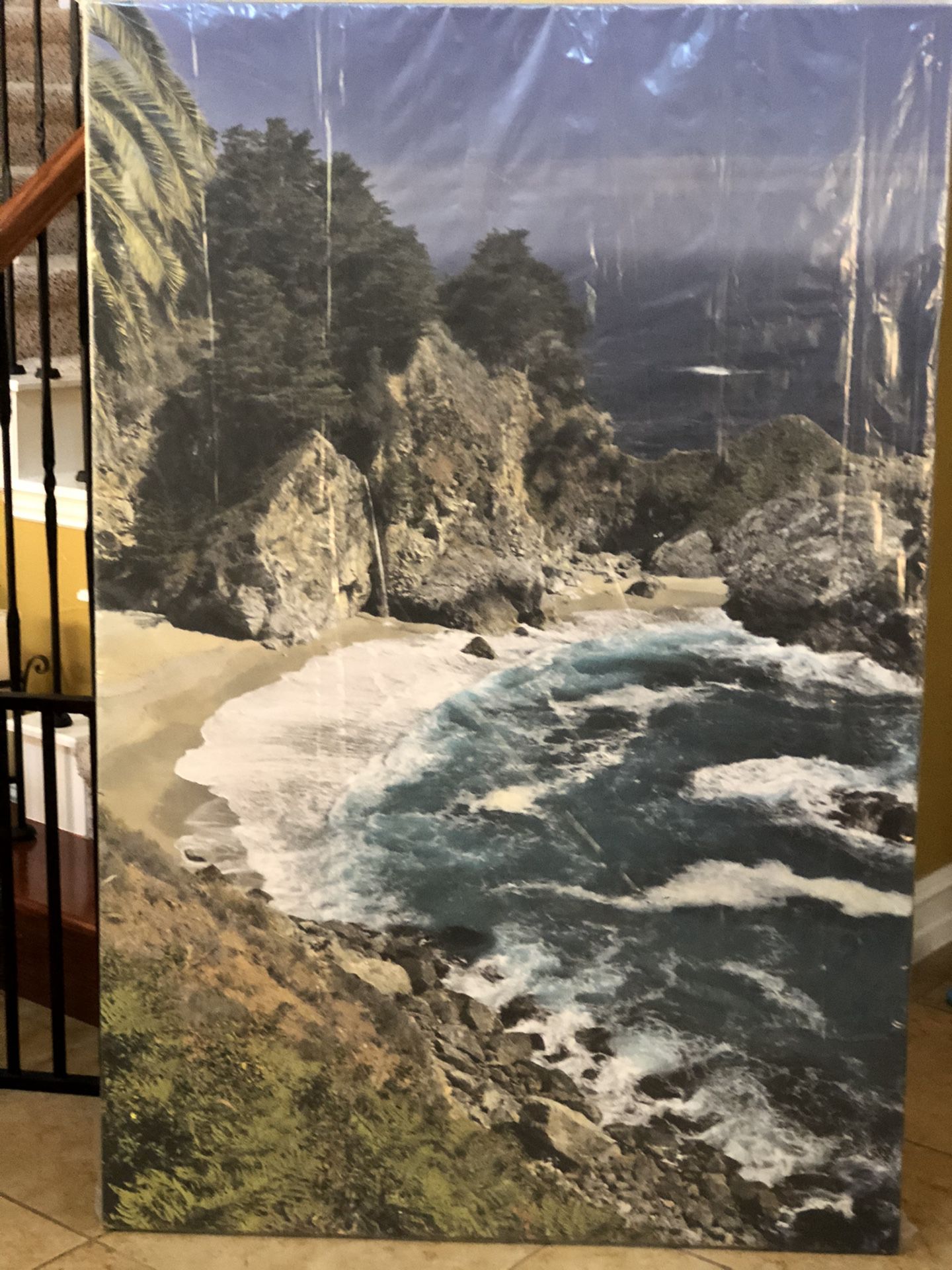 BIG SUR California- Original photography on canvas. 60”high x 40” wide. New in plastic.