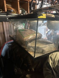 Reptile tank snake iguana lizard hamster