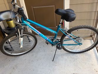 24" Roadmaster Bike - blue
