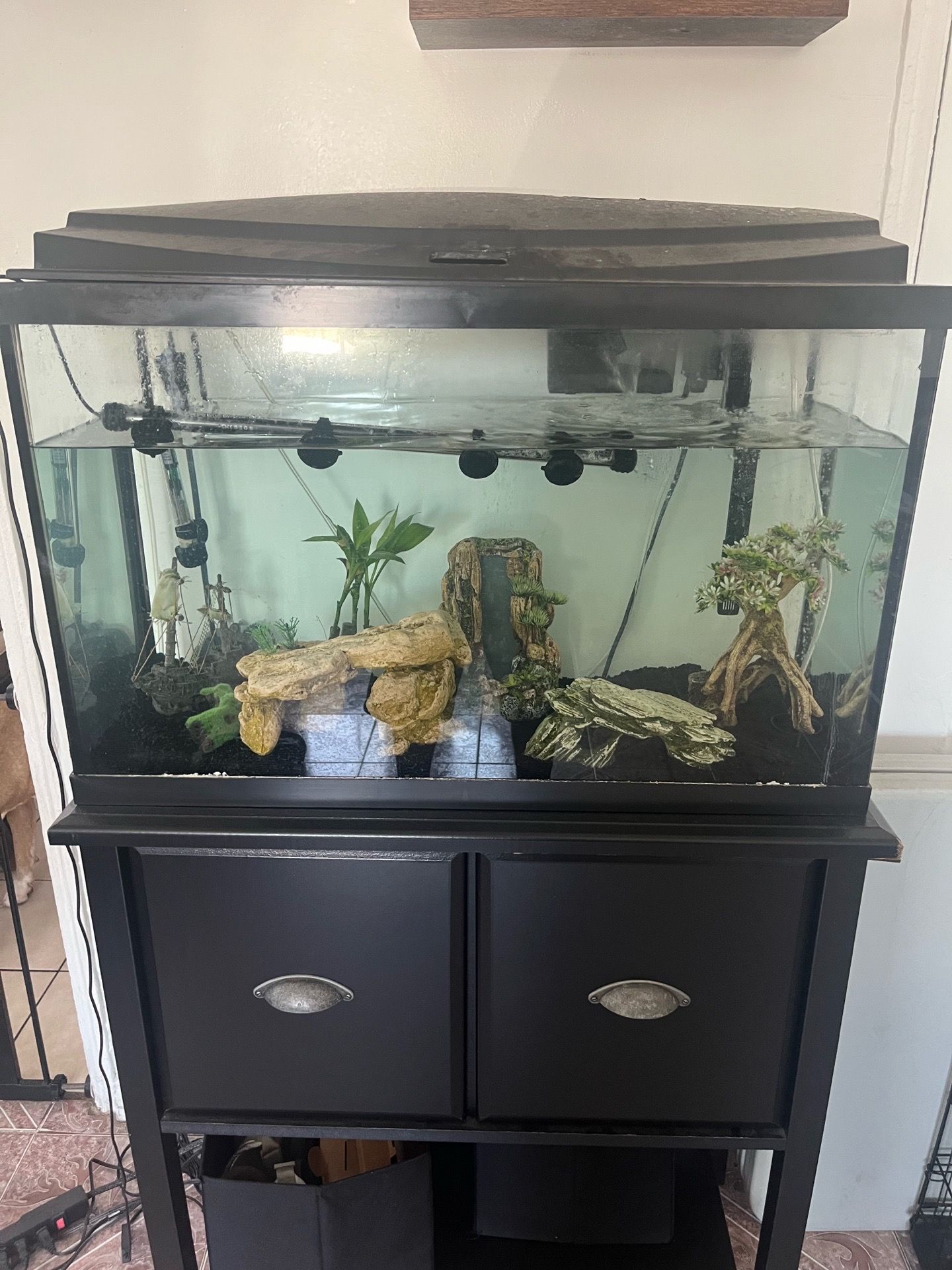 30 gallon Fish Tank