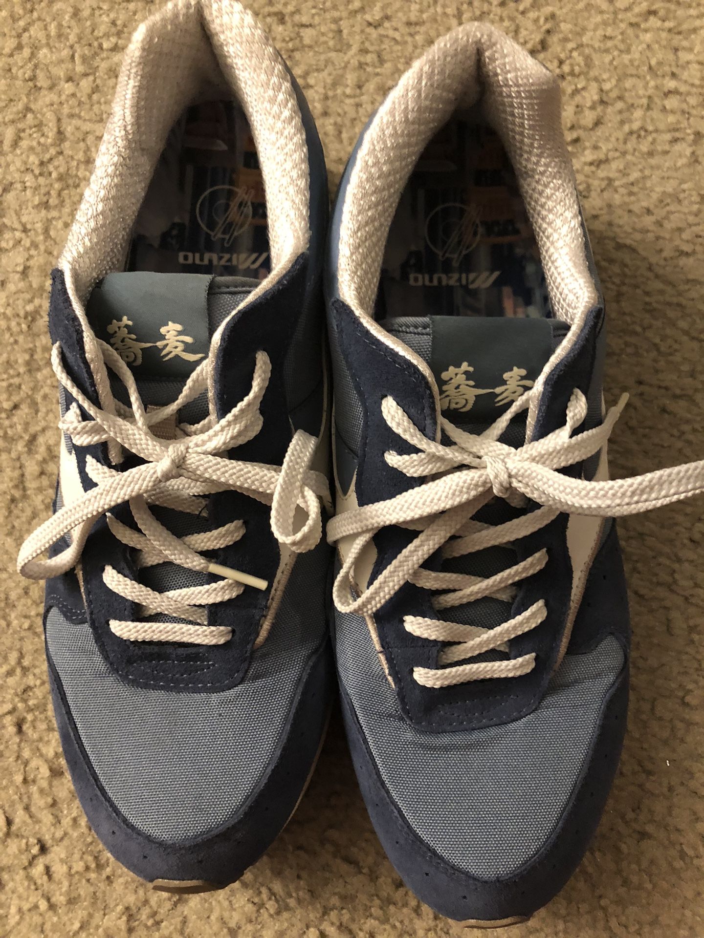 Mizuno Run Bird Shoes