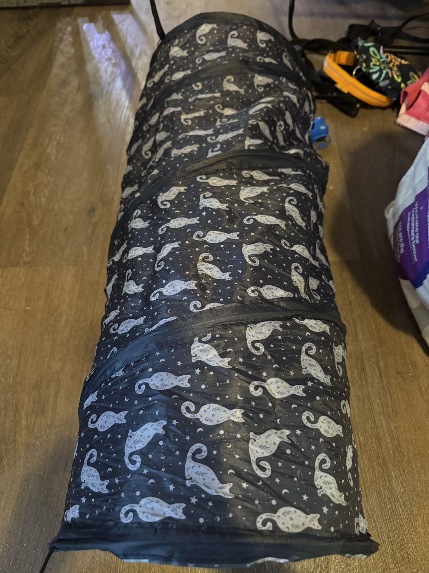 Cat Tunnel