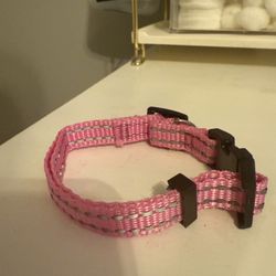 Animal Collar 