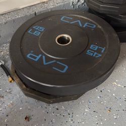 2 45 Lbs Olympic Bumper Plates 20$ Each 