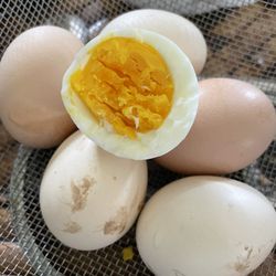 None Cage  Organic Eggs One Dozen $ 8
