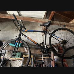 bicicleta 🚲 