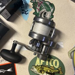 Diawa Saltiga LD15 2 Speed 