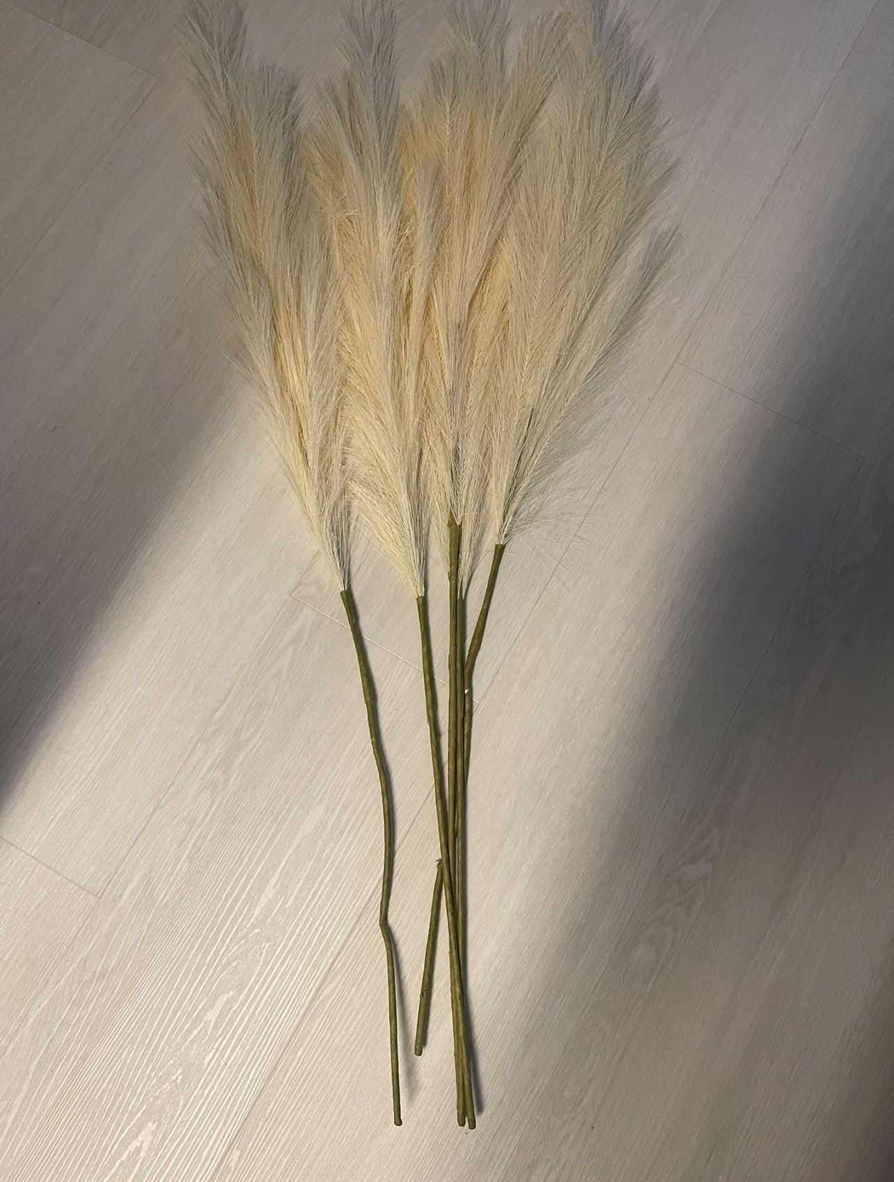 5 - Pompous Grass Branches, Cream