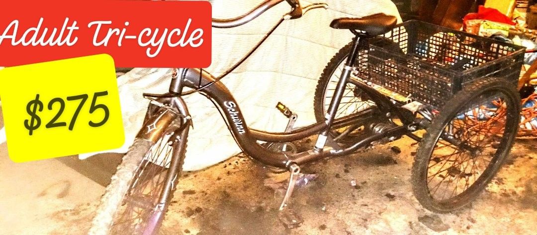 Schwinn Meridian Adult Tricycle Bike

