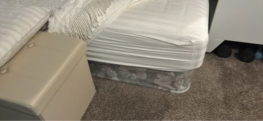Full-size –Box Springs