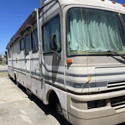Bounder Motorhome 