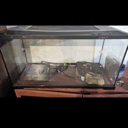 Large Lizard/ Aquarium Tank
