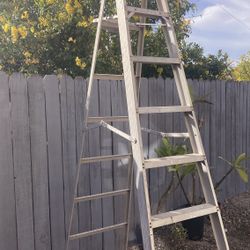 Ladder 8 Ft