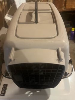 Pet carrier