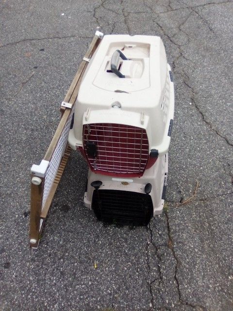 Dog Kennel +Bath+House 20.00
