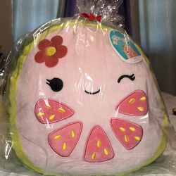 Lena Guava Squishmallow GIft Wrapped