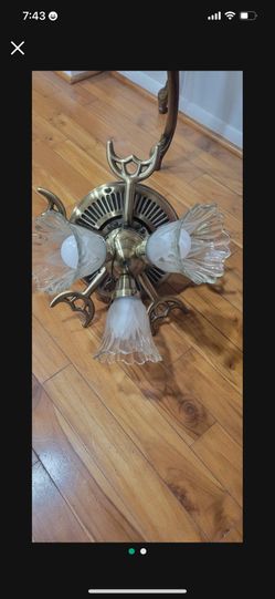 Ceiling Fan With Light