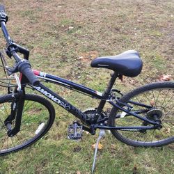 24" Diamonback Insight