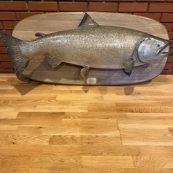 Vintage King salmon Mounted 44 Lb. Taxidermy