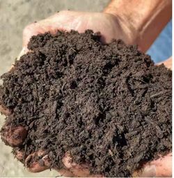 to Tujunga Looking for half track, good soil for plant to be delivered to Tujunga