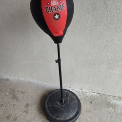 Speed-Adjustable Freestanding Reflex Bag Kit