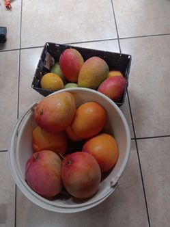 Mangos