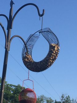 Peanut bird feeder