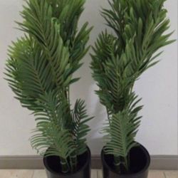 PAIR of 4ft Faux Golden Cane Palms in 16in Black Planters (2 for $100) @ Lasting Creations