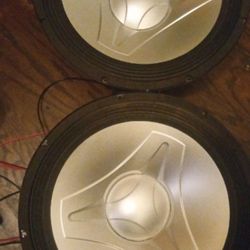 2  15's Speaker's