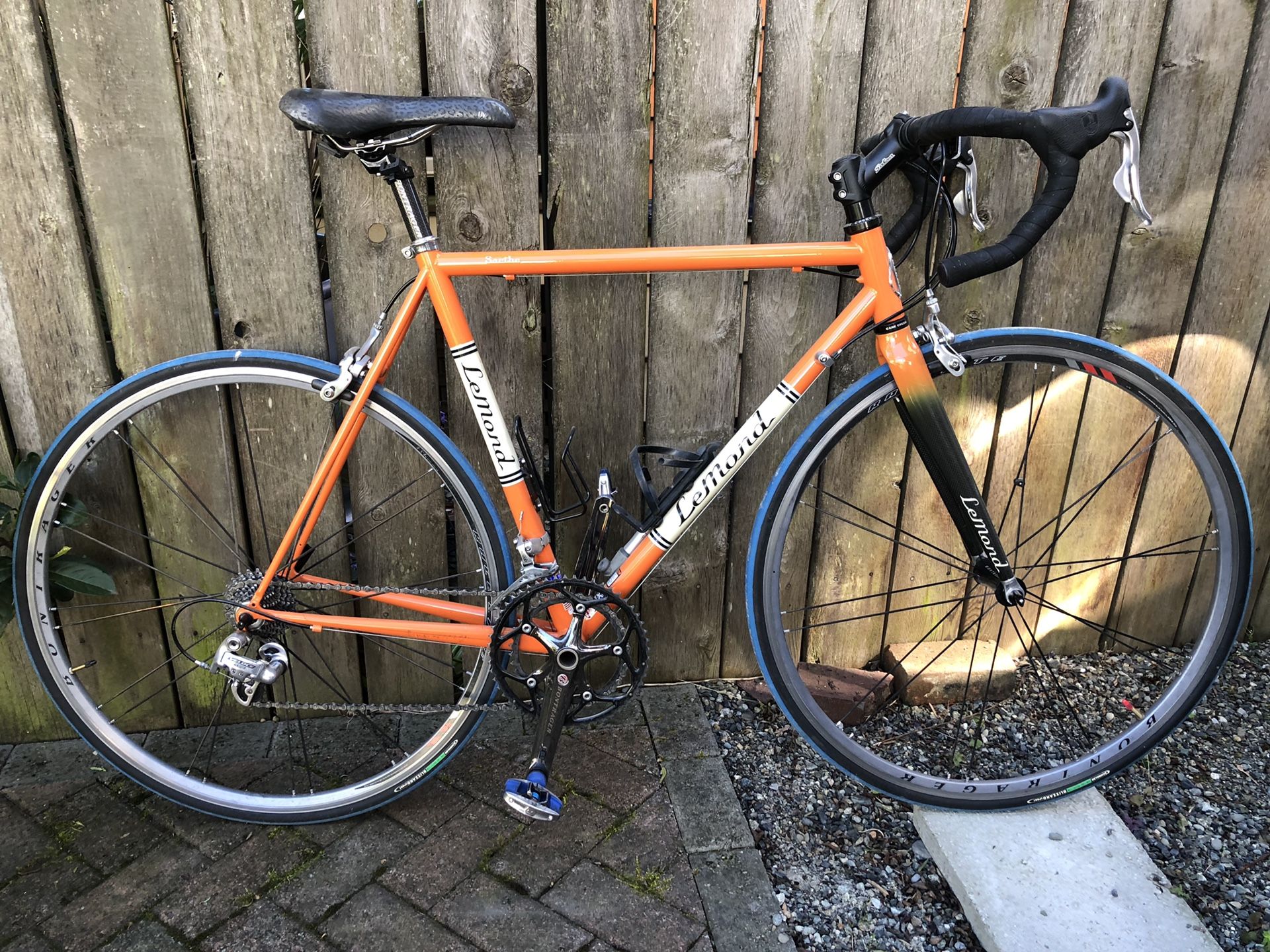 Lemond Sarthe 2005 53cm steel frame road bike