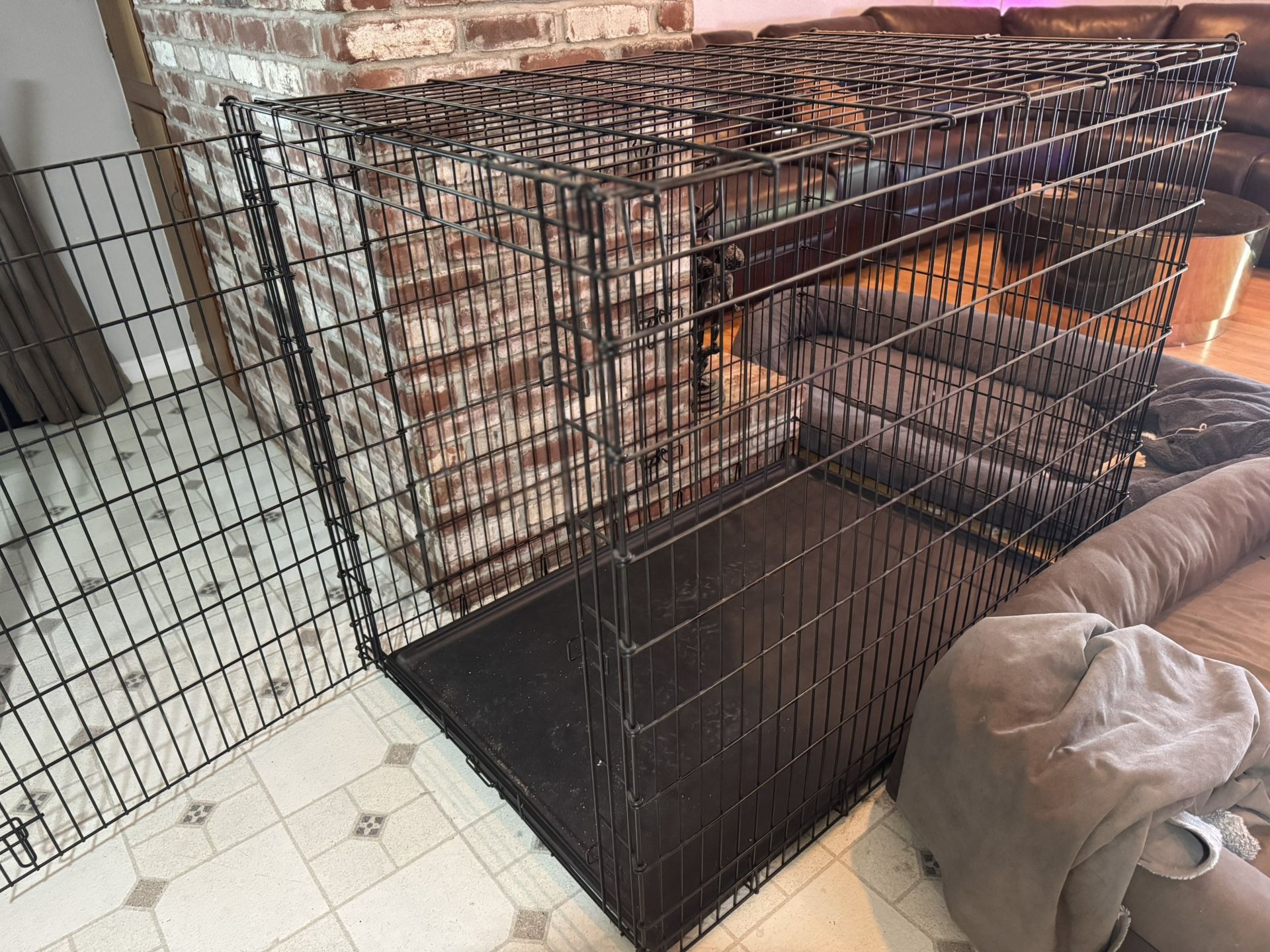 XXL Dog Kennel