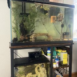 50 Gallon Tank With Stand + Turtle Basking