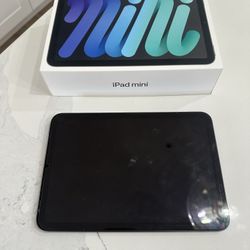 iPad Mini 6  (256 GB)