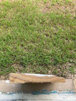 Prime white 3. 1/4” colonial pine floor molding 16’ Ft long 9 pcs total
