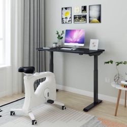 FlexiSpot Electric Standing Desk - 48" Height Adjustable Sit/Stand Desk