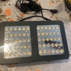 Hydroponic Grow Light