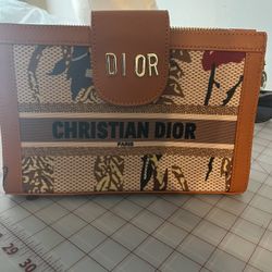 christian dior  handbags 