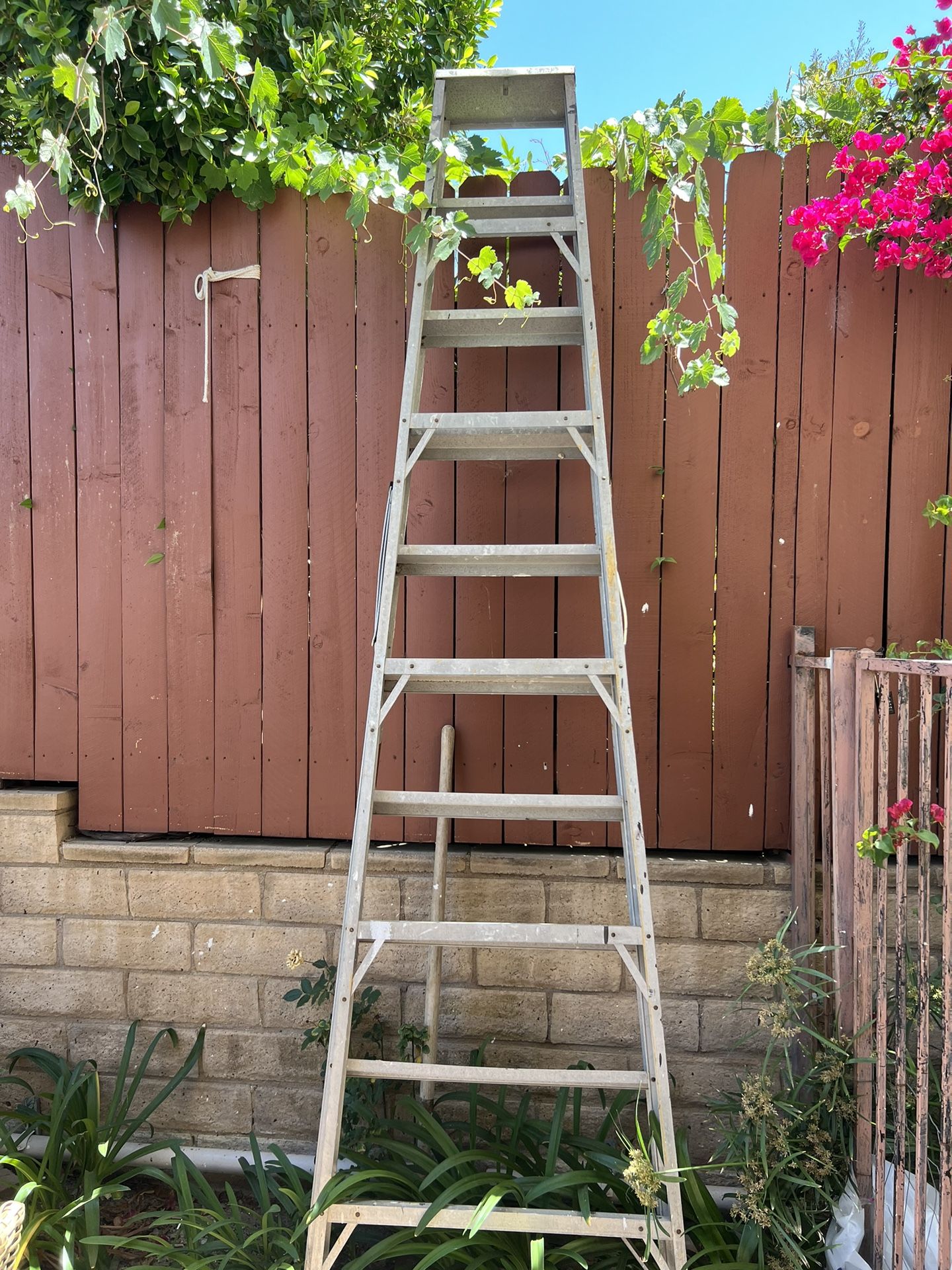 10 Foot Ladder