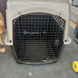 Large Dog Crate