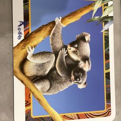 Jason Australia Theme Cork Backed Placemats - Brand New