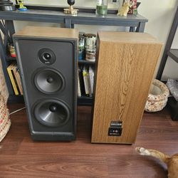  Polk Speakers S10  Vintage Model